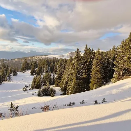 Cosy Pieds Des Pistes 샴루스